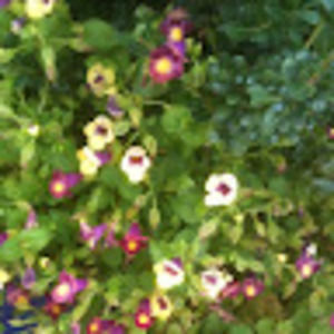 Meet your Posher, Mildred